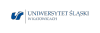 Logo wpisu Amorficzna kompozycja farmaceutyczna o wysokiej fizycznej stabilności oraz sposób jej otrzymywania